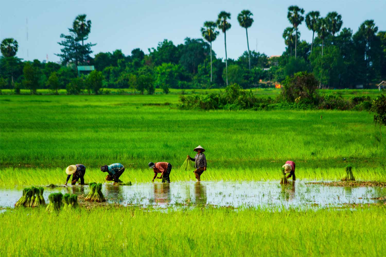 Metta Residence & Spa - Luxury Hotel Resort in Siem Reap Cambodia